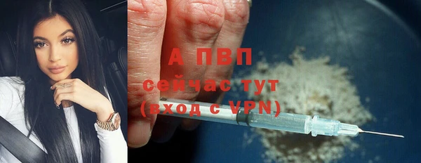 шишки Вяземский