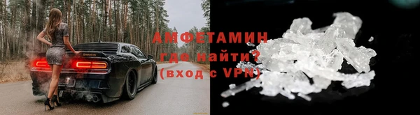 шишки Вяземский