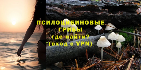прущая мука Вязьма