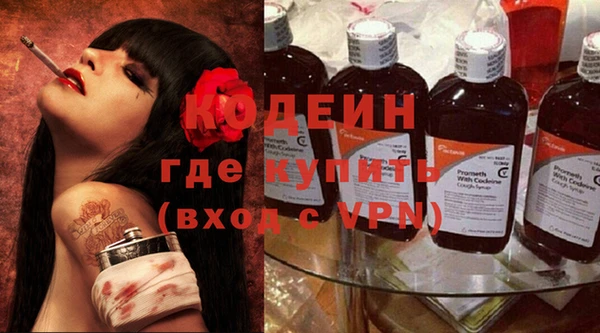 шишки Вяземский