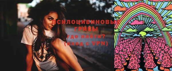 шишки Вяземский