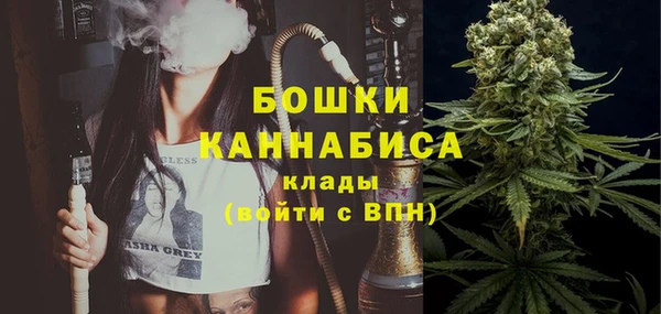 шишки Вяземский