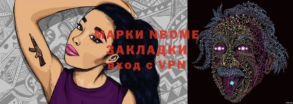 шишки Вяземский
