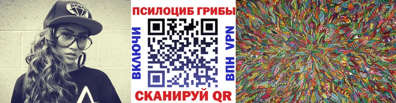 Псилоцибиновые грибы Cubensis  Купить  Западная Двина 
